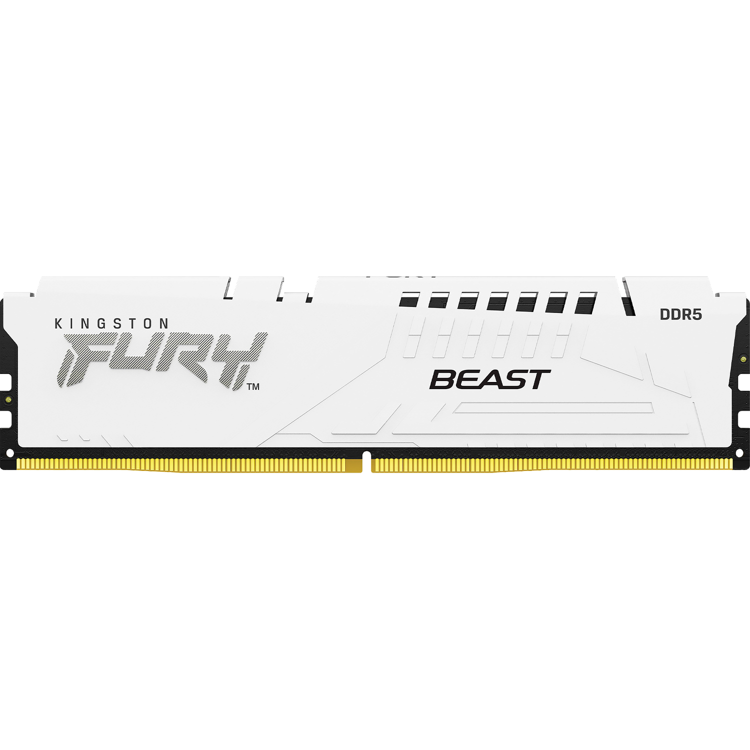 Память оперативная Kingston FURY Beast KF560C36BWE-32